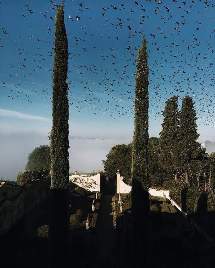 Villa Le Piazzole Florens Exteriör bild
